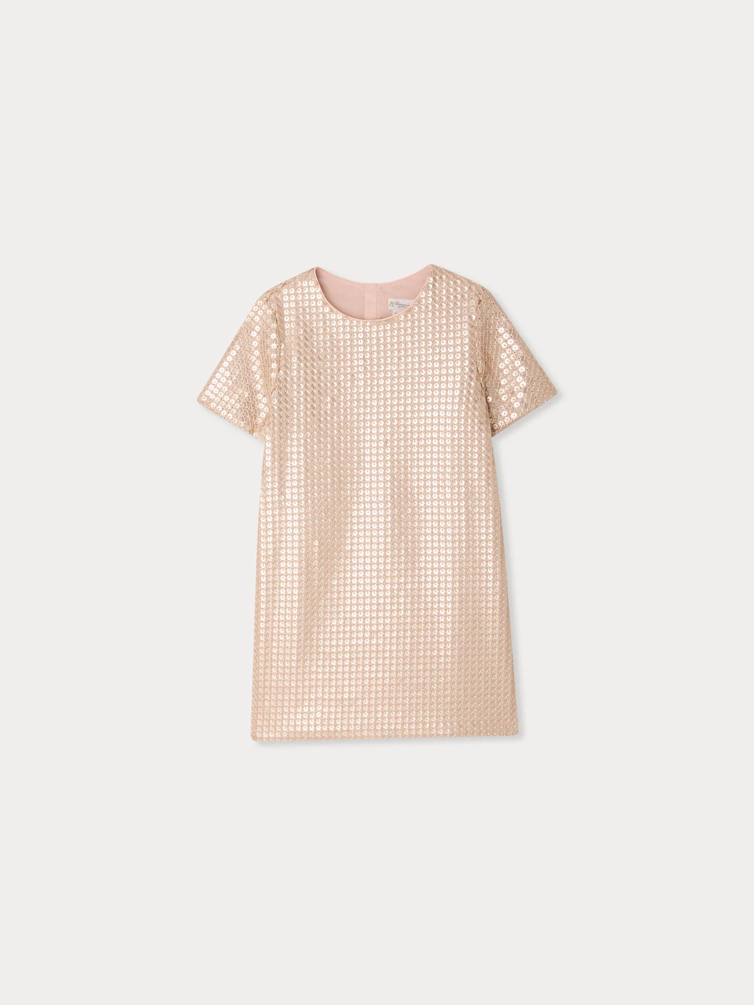 Lea dress embroidered with sequins
